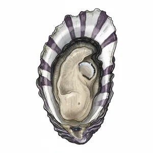 Chef's Creek oyster illustration