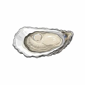 Chesapeake Gold oyster illustration