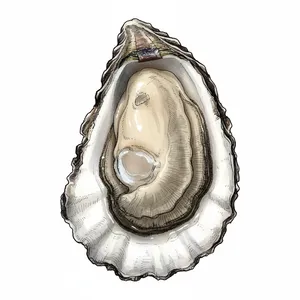 Dosewallips oyster illustration