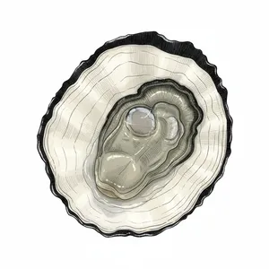 European Flat oyster illustration