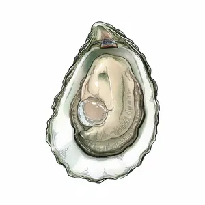 Hog Island Kumamoto oyster illustration
