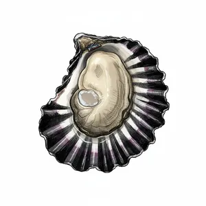 Hog Island Sweetwater oyster illustration