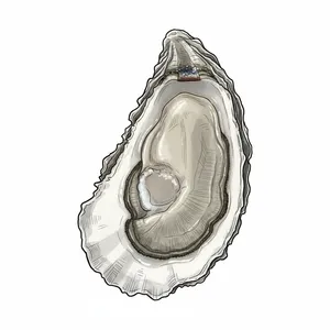 Pepper Grove oyster illustration